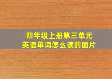 四年级上册第三单元英语单词怎么读的图片