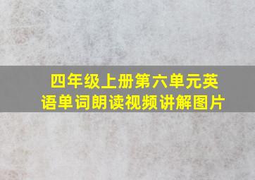 四年级上册第六单元英语单词朗读视频讲解图片