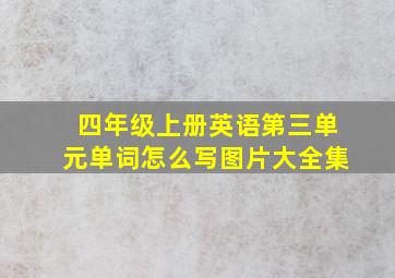 四年级上册英语第三单元单词怎么写图片大全集