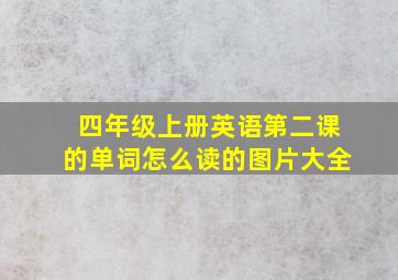 四年级上册英语第二课的单词怎么读的图片大全