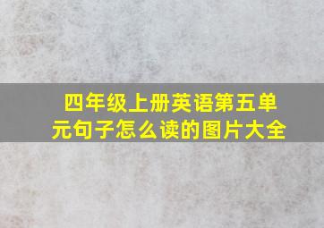 四年级上册英语第五单元句子怎么读的图片大全