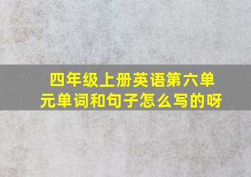 四年级上册英语第六单元单词和句子怎么写的呀