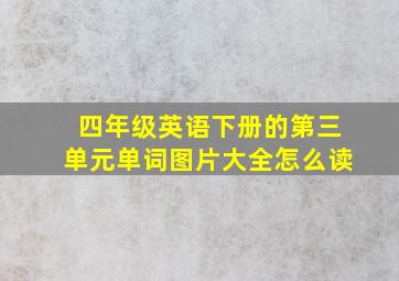 四年级英语下册的第三单元单词图片大全怎么读