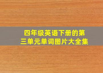 四年级英语下册的第三单元单词图片大全集