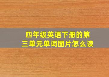 四年级英语下册的第三单元单词图片怎么读