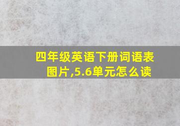 四年级英语下册词语表图片,5.6单元怎么读