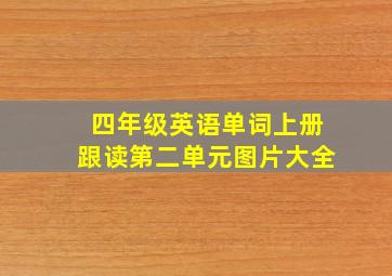 四年级英语单词上册跟读第二单元图片大全