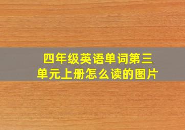 四年级英语单词第三单元上册怎么读的图片