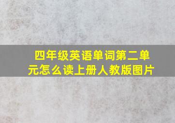 四年级英语单词第二单元怎么读上册人教版图片