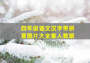 四年级语文汉字带拼音图片大全集人教版