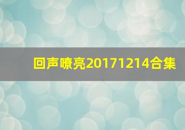 回声嘹亮20171214合集