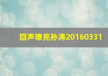 回声嘹亮孙涛20160331