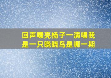 回声嘹亮杨子一演唱我是一只晓晓鸟是哪一期