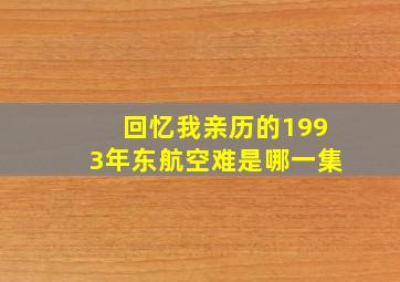 回忆我亲历的1993年东航空难是哪一集