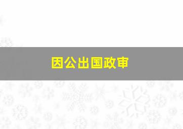 因公出国政审