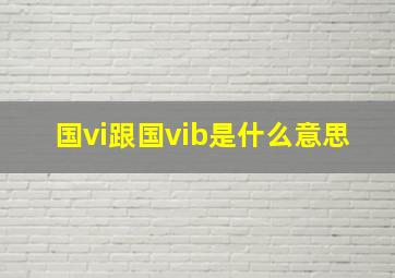 国vi跟国vib是什么意思