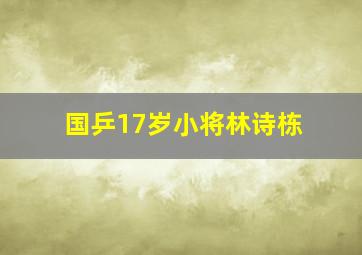 国乒17岁小将林诗栋