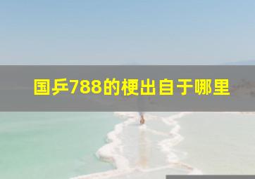 国乒788的梗出自于哪里