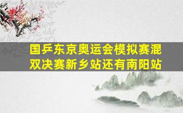 国乒东京奥运会模拟赛混双决赛新乡站还有南阳站