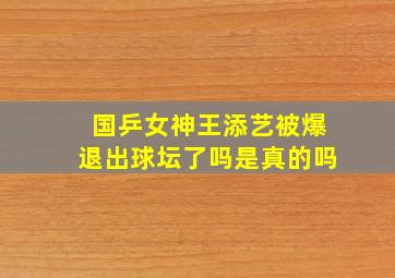 国乒女神王添艺被爆退出球坛了吗是真的吗