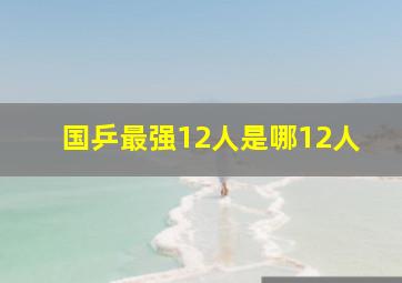 国乒最强12人是哪12人