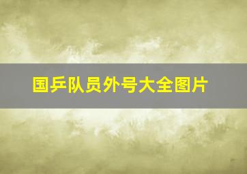 国乒队员外号大全图片