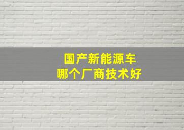 国产新能源车哪个厂商技术好