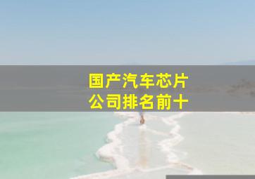 国产汽车芯片公司排名前十