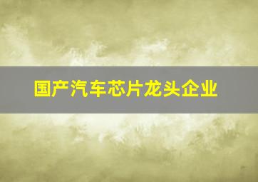 国产汽车芯片龙头企业