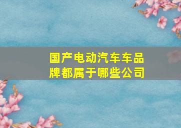 国产电动汽车车品牌都属于哪些公司