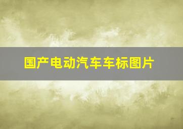 国产电动汽车车标图片