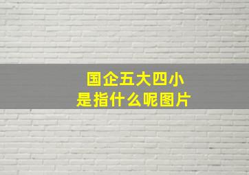 国企五大四小是指什么呢图片