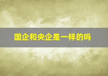 国企和央企是一样的吗