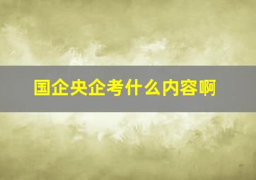 国企央企考什么内容啊