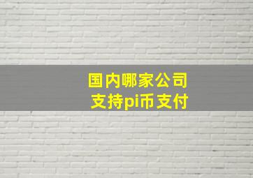 国内哪家公司支持pi币支付