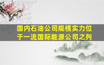 国内石油公司规模实力位于一流国际能源公司之列