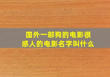 国外一部狗的电影很感人的电影名字叫什么