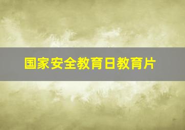 国家安全教育日教育片