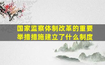 国家监察体制改革的重要举措措施建立了什么制度