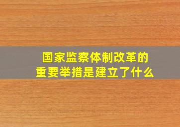 国家监察体制改革的重要举措是建立了什么