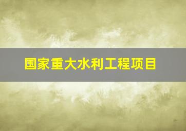 国家重大水利工程项目