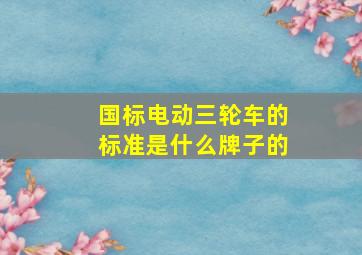 国标电动三轮车的标准是什么牌子的