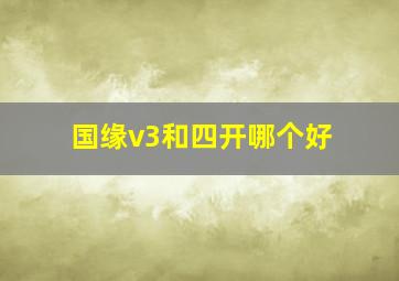 国缘v3和四开哪个好