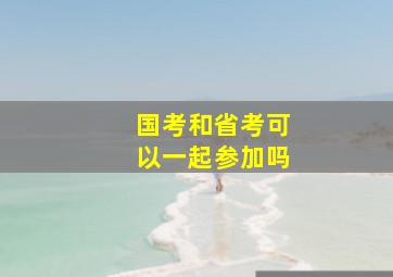 国考和省考可以一起参加吗