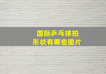 国际乒乓球拍形状有哪些图片