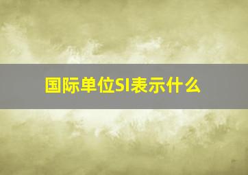 国际单位SI表示什么