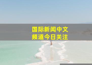 国际新闻中文频道今日关注