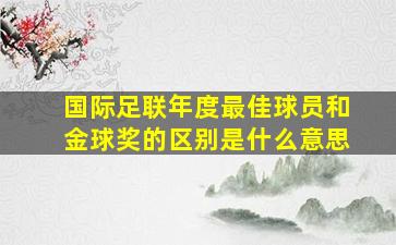 国际足联年度最佳球员和金球奖的区别是什么意思