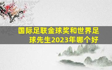 国际足联金球奖和世界足球先生2023年哪个好