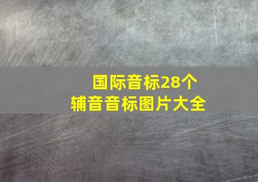 国际音标28个辅音音标图片大全